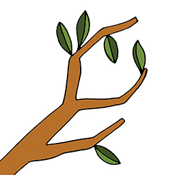 Ast